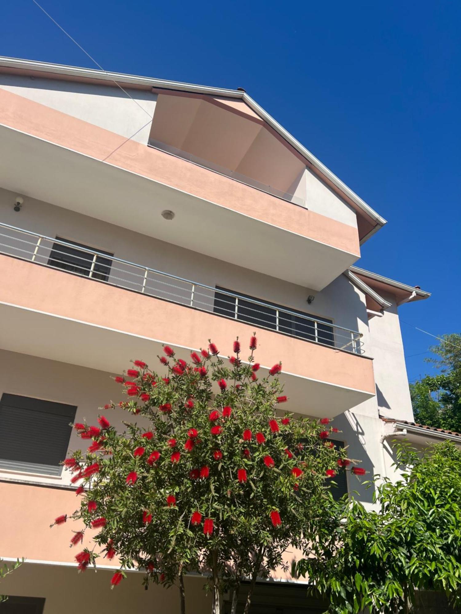 Gjirokastër Flower Terrace Apartment מראה חיצוני תמונה